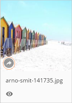 public link icon on Asset displayed in iframe