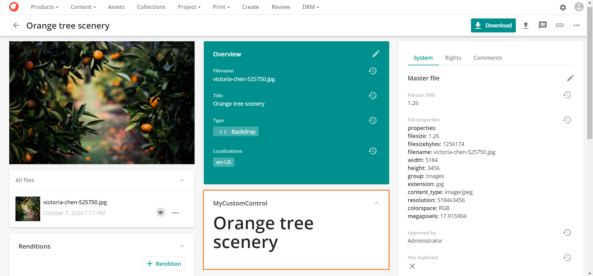 Handlebars example Sitecore Documentation